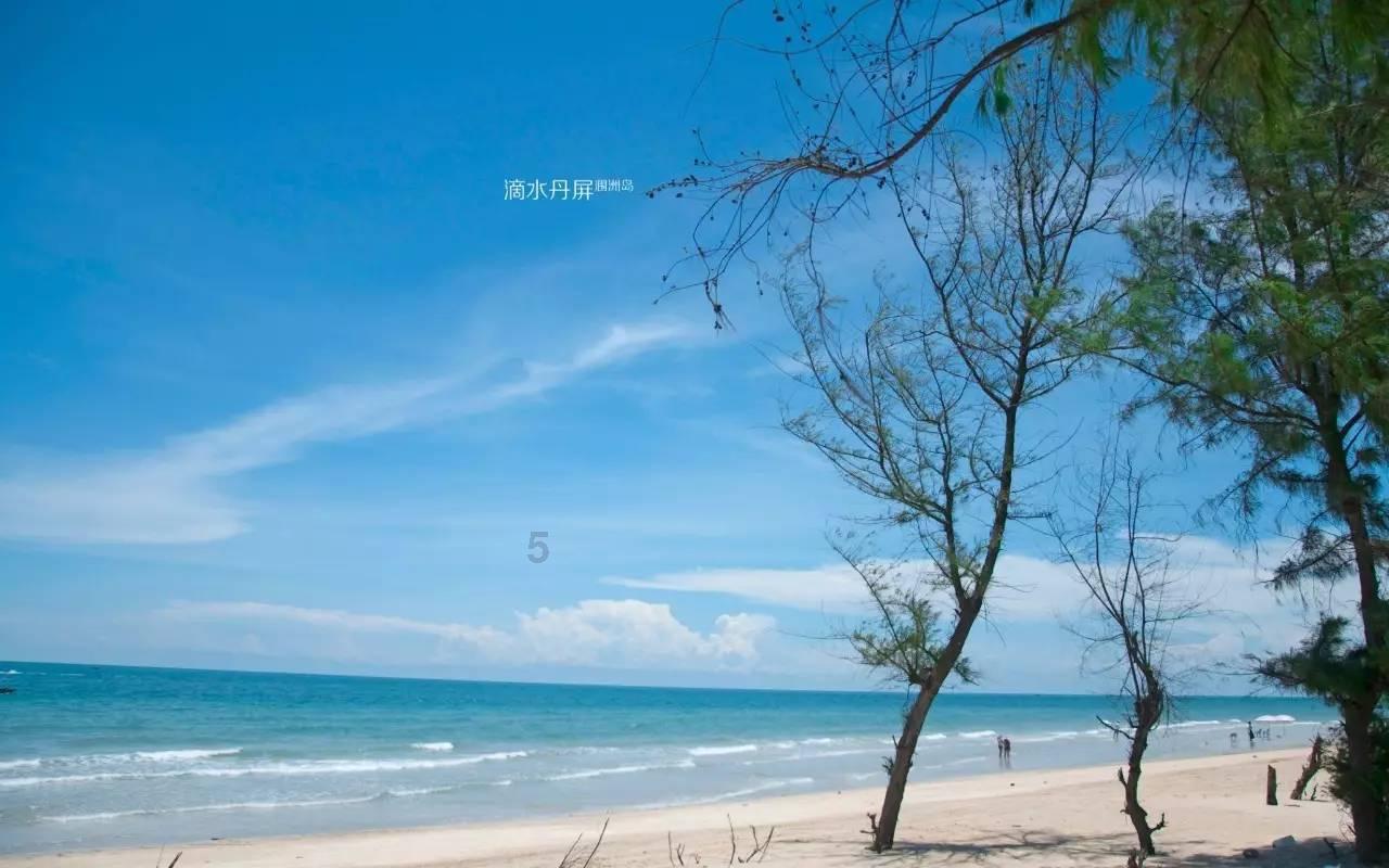 大象的耳朵告诉我们什么道理游戏画面